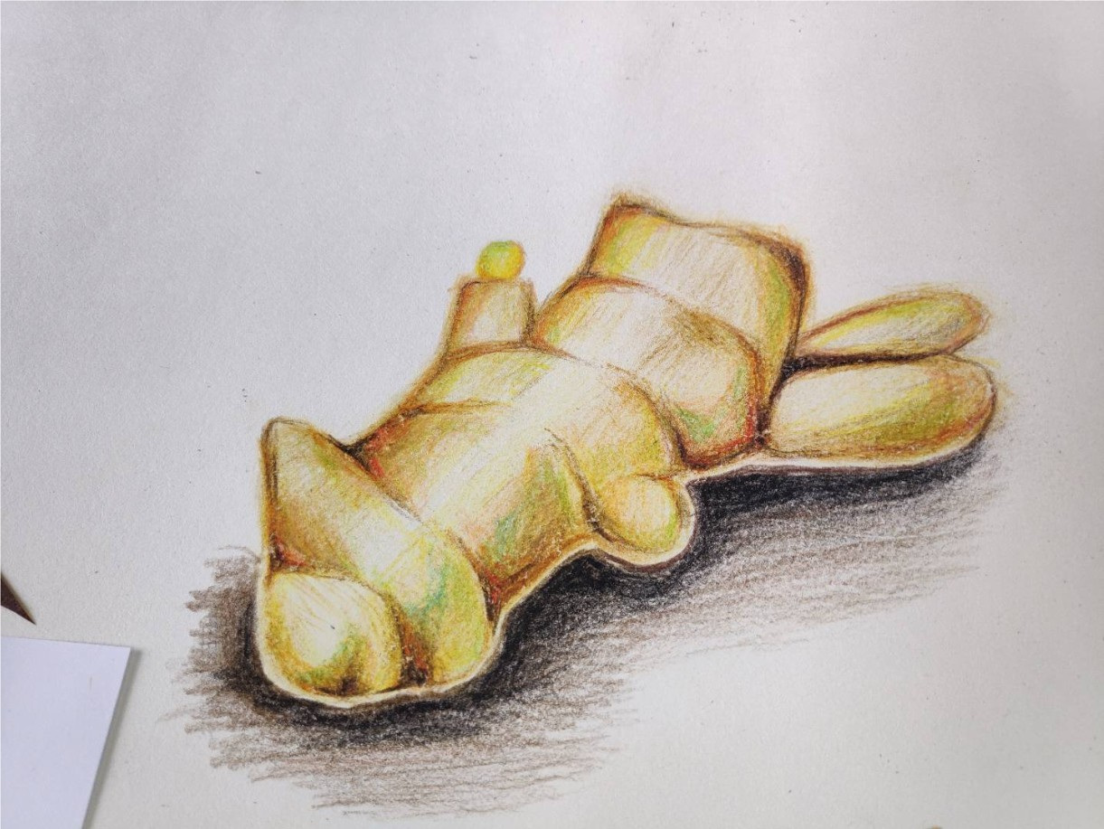 Drawing from Observation