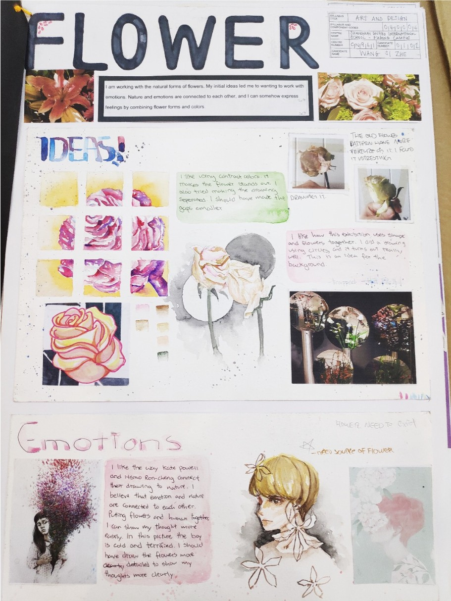 IGCSE portfolio artwork